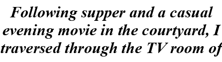 Following supper and a casual evening movie in the courtyard, I traversed through the TV room of 